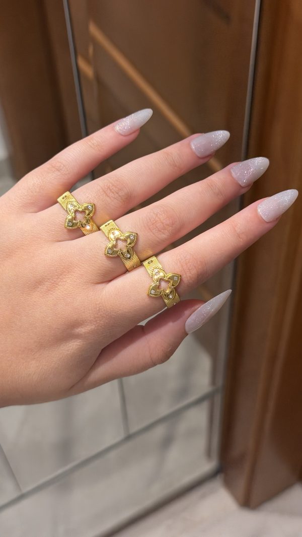 Bague roberto ajustable ✨