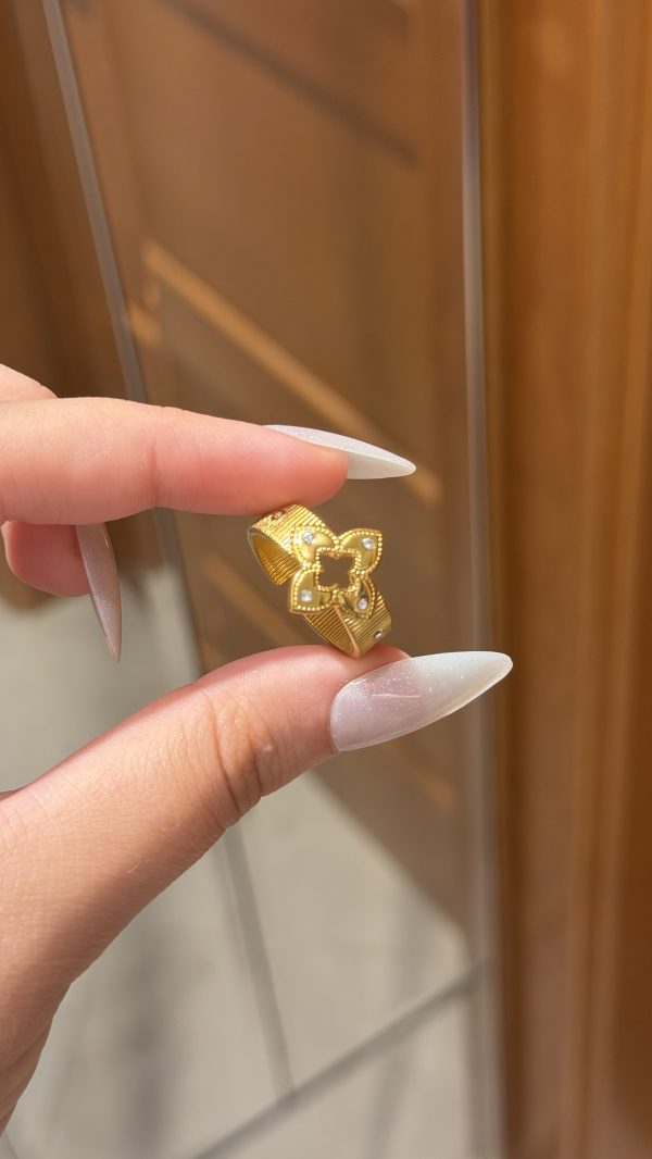 Bague roberto ajustable ✨