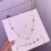 Parure roberto copie or ✨