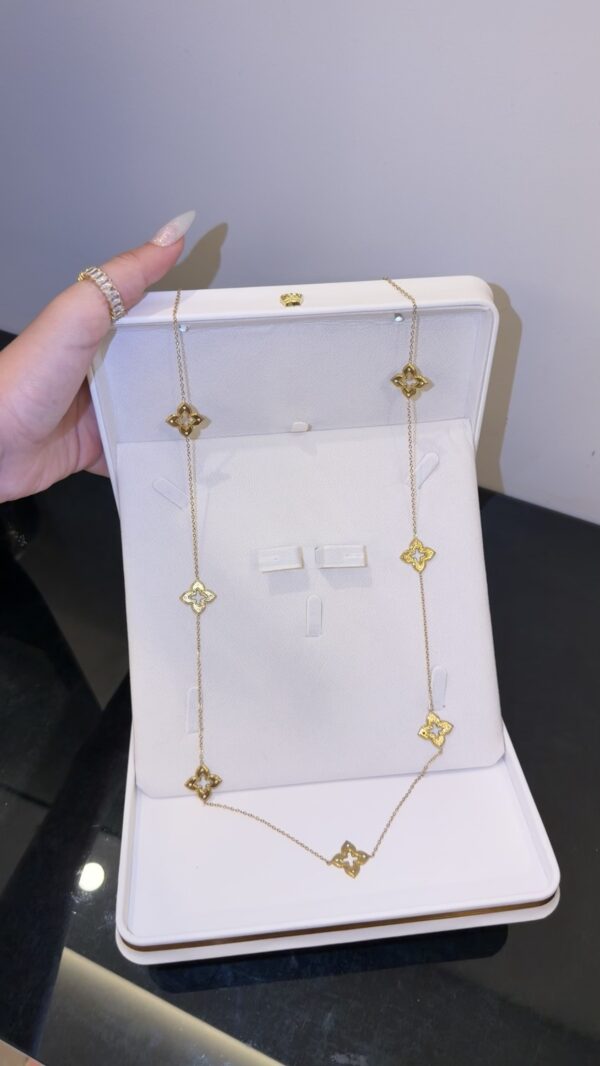 Collier Sautoir roberto ✨