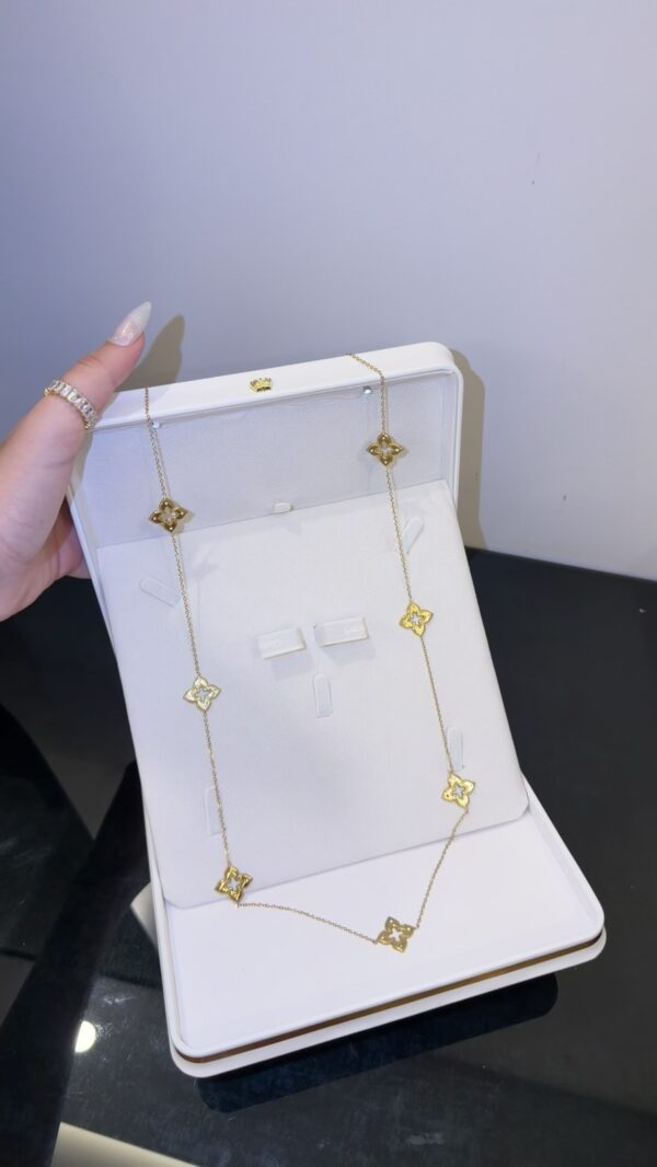 Collier Sautoir roberto ✨