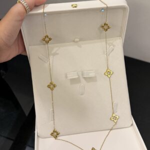 Collier Sautoir roberto ✨