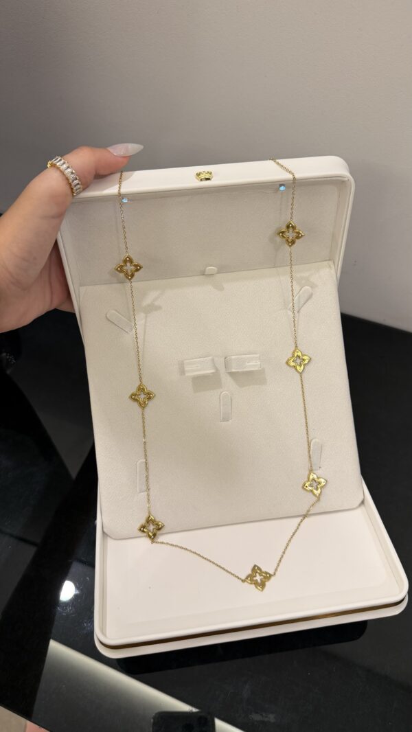 Collier Sautoir roberto ✨