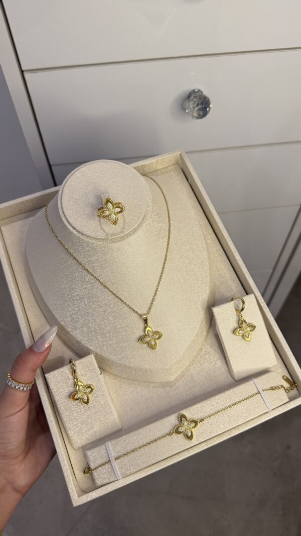 Parure roberto OR mini✨