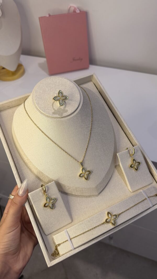Parure roberto OR mini✨
